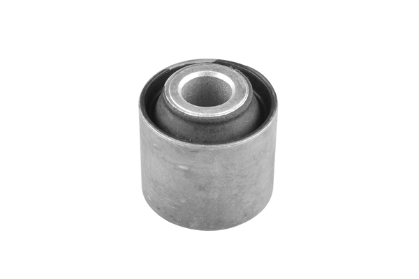 Draagarm-/ reactiearm lager Tedgum 00410377