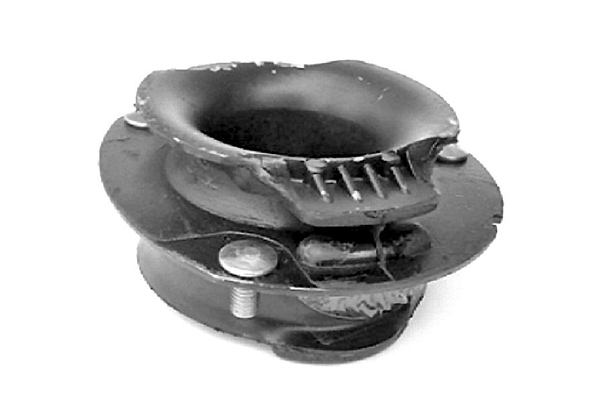 Veerpootlager & rubber Tedgum 00413165