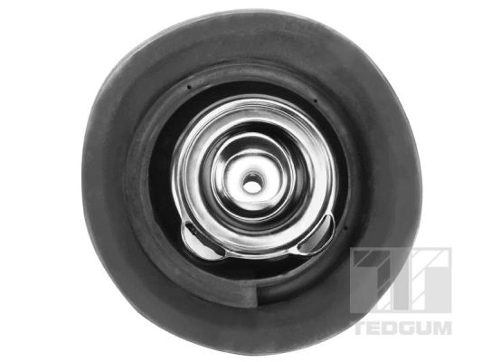 Tedgum Veerpootlager & rubber 00418499