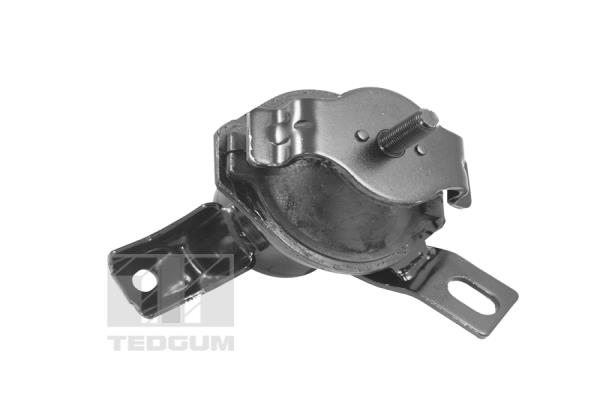 Tedgum Motorsteun 00441120