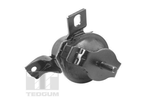 Tedgum Motorsteun 00441120