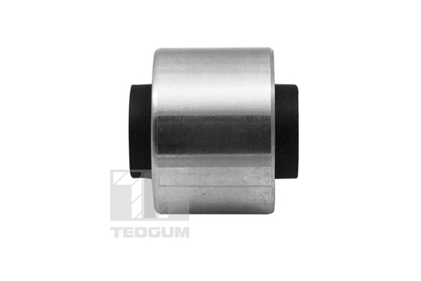 Tedgum Draagarm-/ reactiearm lager 00469969