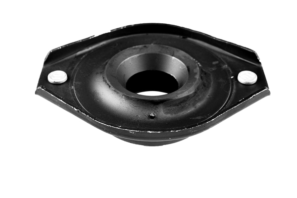 Tedgum Veerpootlager & rubber 00500562
