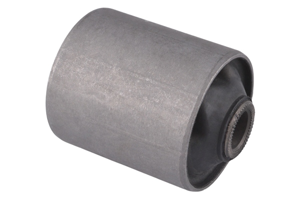 Draagarm-/ reactiearm lager Tedgum 00504565