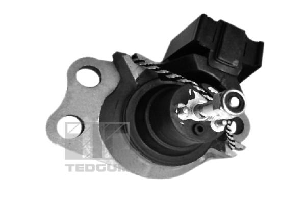 Motorsteun Tedgum 00586865