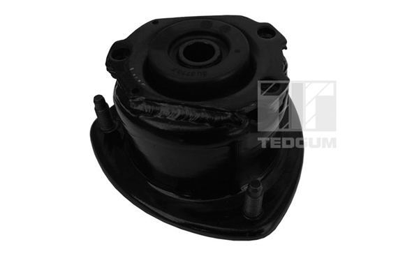 Veerpootlager & rubber Tedgum 00651987