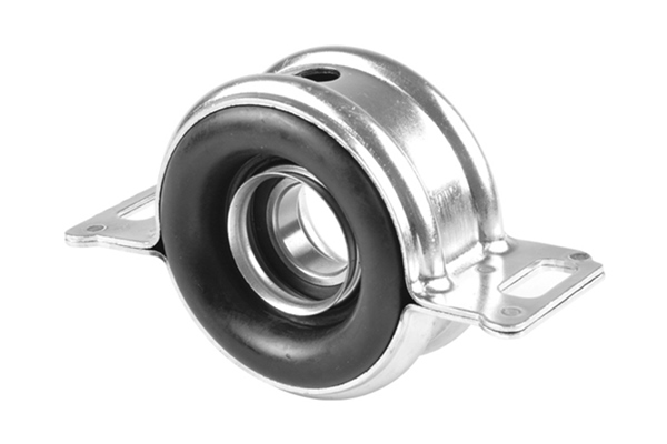 Cardanaslager / ophanging Tedgum 00670211