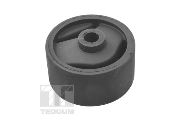 Tedgum Motorsteun 00679672
