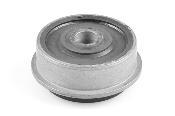 Draagarm-/ reactiearm lager Tedgum 00725908