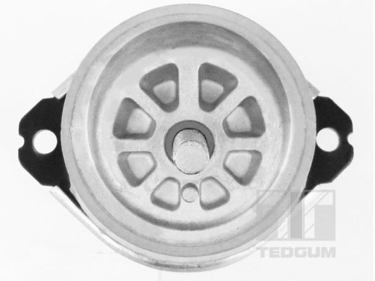 Tedgum Motorsteun 00728486