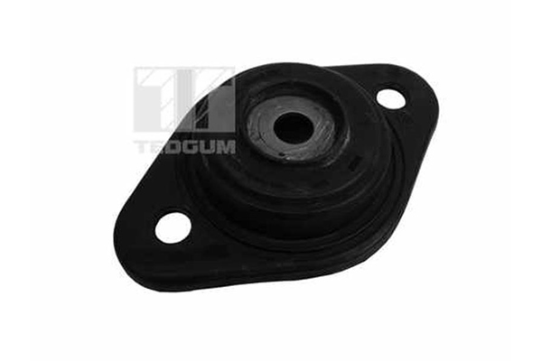 Veerpootlager & rubber Tedgum 00741990