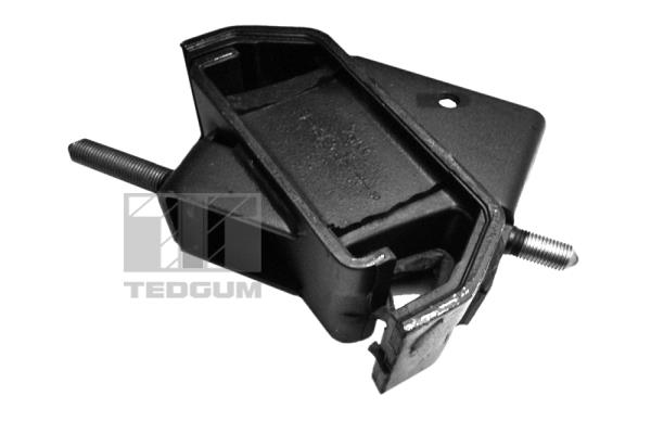 Motorsteun Tedgum 00976918