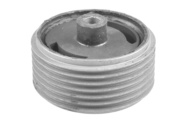 Tedgum Motorsteun 00465204