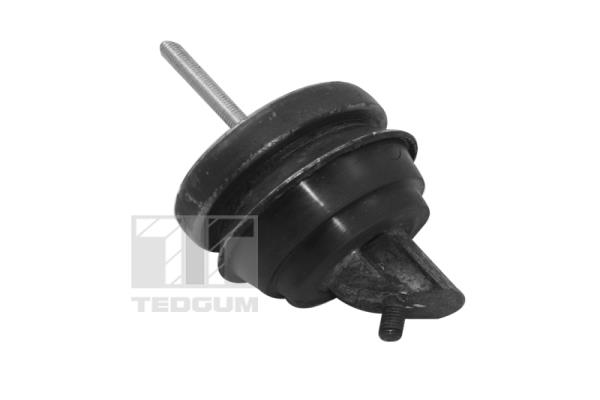 Motorsteun Tedgum TED11497
