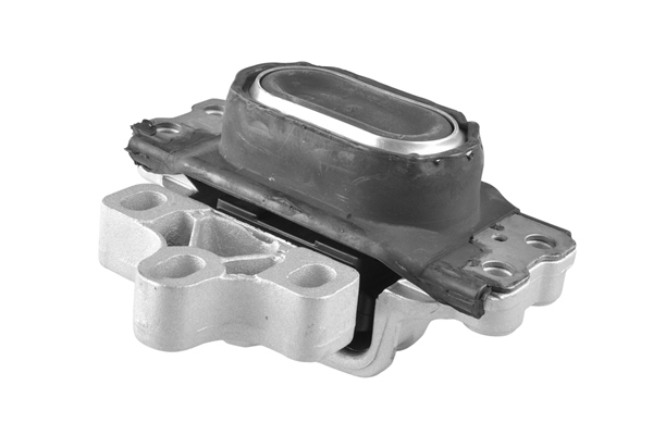 Tedgum Motorsteun TED13881