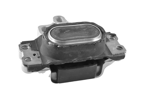 Tedgum Motorsteun TED13881