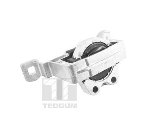 Motorsteun Tedgum TED24027