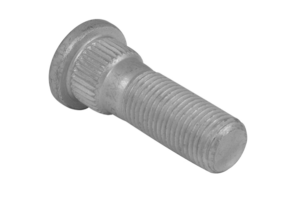 Tedgum Wielbout/moer TED37715