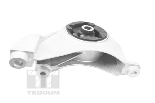 Tedgum Motorsteun TED37880