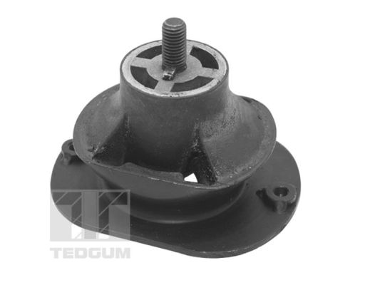 Motorsteun Tedgum TED40521