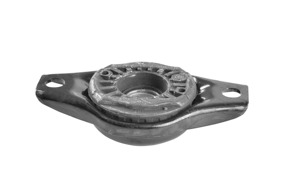 Tedgum Veerpootlager & rubber TED59915
