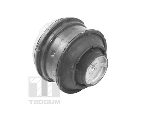 Motorsteun Tedgum TED81021