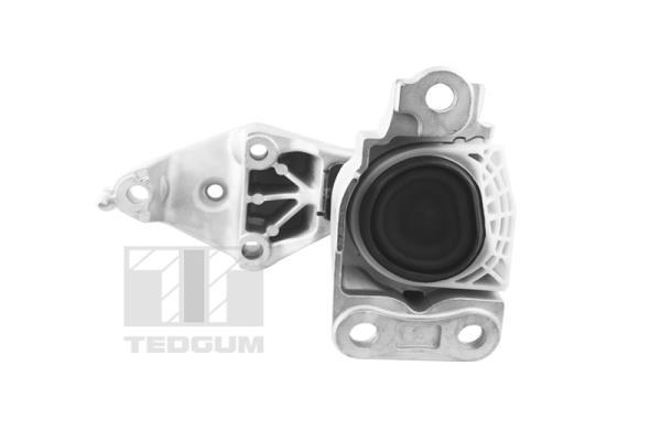 Tedgum Motorsteun TED81471