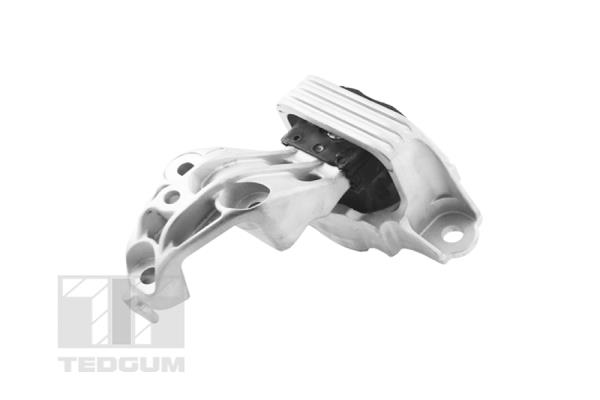 Tedgum Motorsteun TED81471