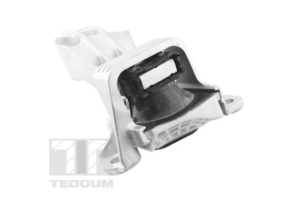 Motorsteun Tedgum TED81471