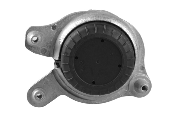 Tedgum Motorsteun TED84941