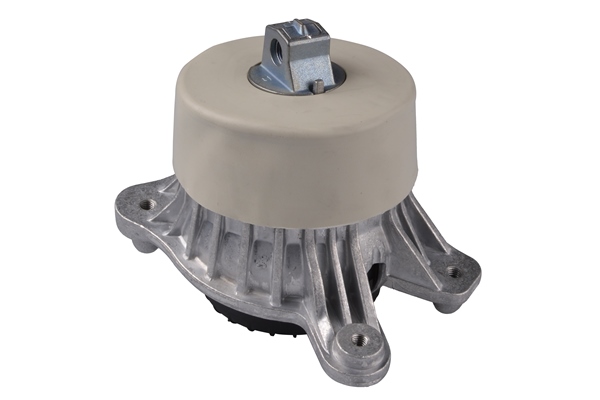 Aslichaam-/motorsteunlager Tedgum TED92540