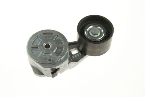 Riemspanner, Poly V-riem BTA B05-01-015