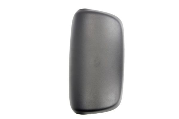 Pacol Buitenspiegel DAF-MR-019