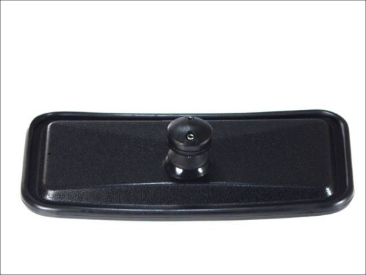 Pacol Buitenspiegel MAN-MR-009