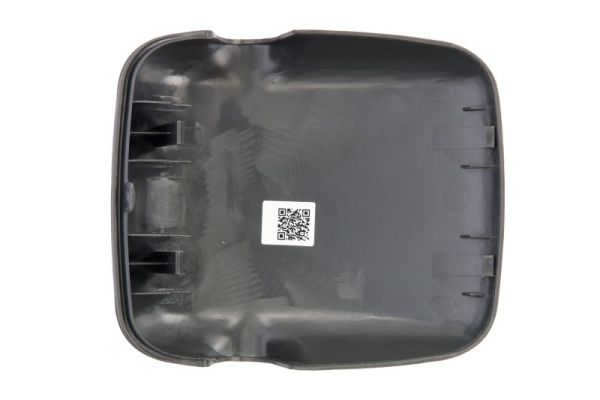 Pacol Buitenspiegelkap MAN-MR-043R