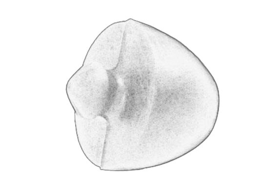 Aanslagrubber, vering S-TR STR-1201246