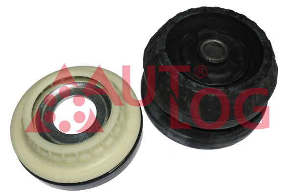 Veerpootlager & rubber Autlog FT2568