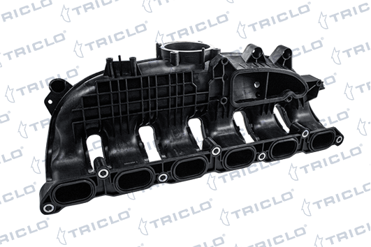 Inlaatspruitstuk module Triclo 392003