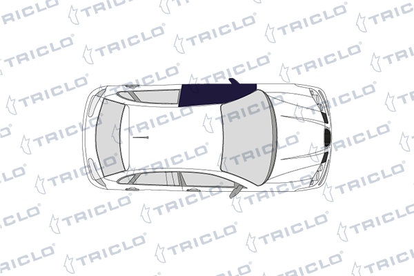 Triclo Deurgreep 128461