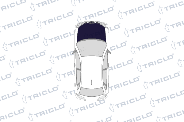 Triclo Motorkapslot 131897