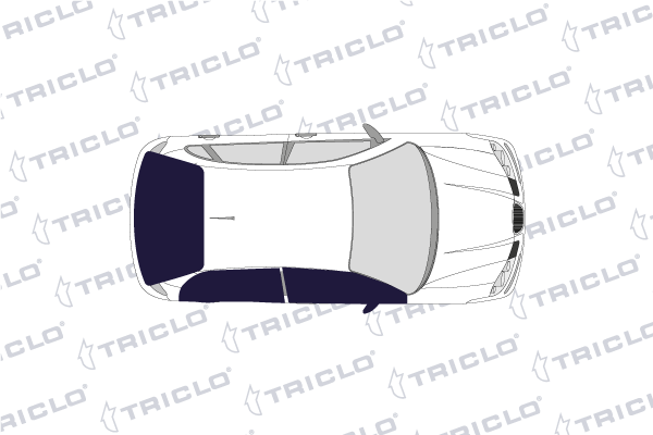 Triclo Deurgreep 124738