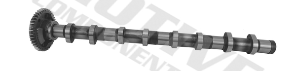 Motive Nokkenas T4341