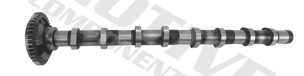 Motive Nokkenas T4341