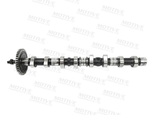 Motive Nokkenas T4406