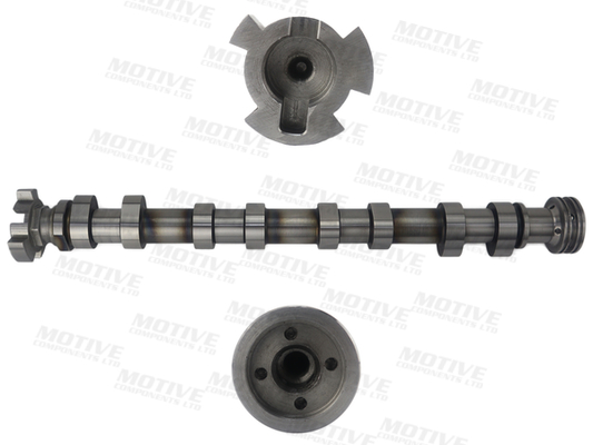 Motive Nokkenas T4437