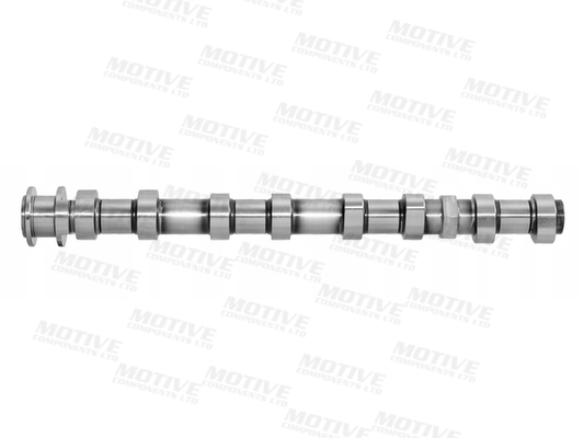 Motive Nokkenas T4439
