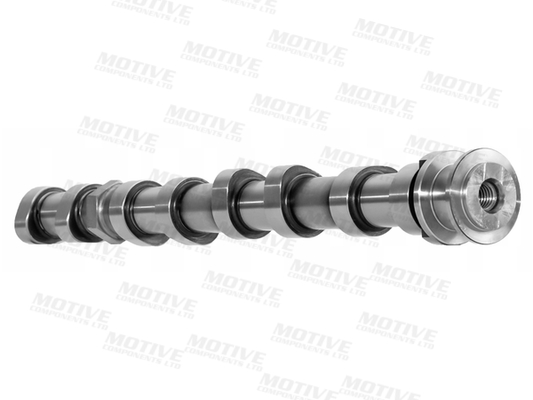 Motive Nokkenas T4439