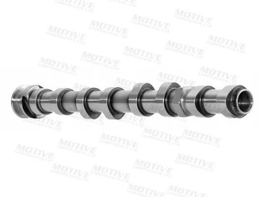 Motive Nokkenas T4439