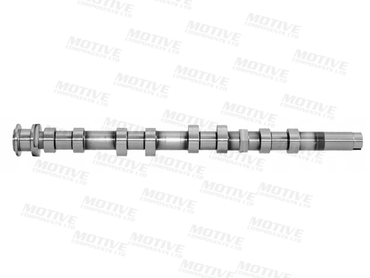 Motive Nokkenas T4440