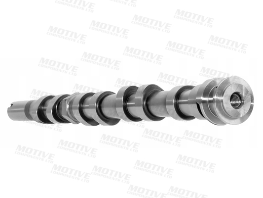 Motive Nokkenas T4440